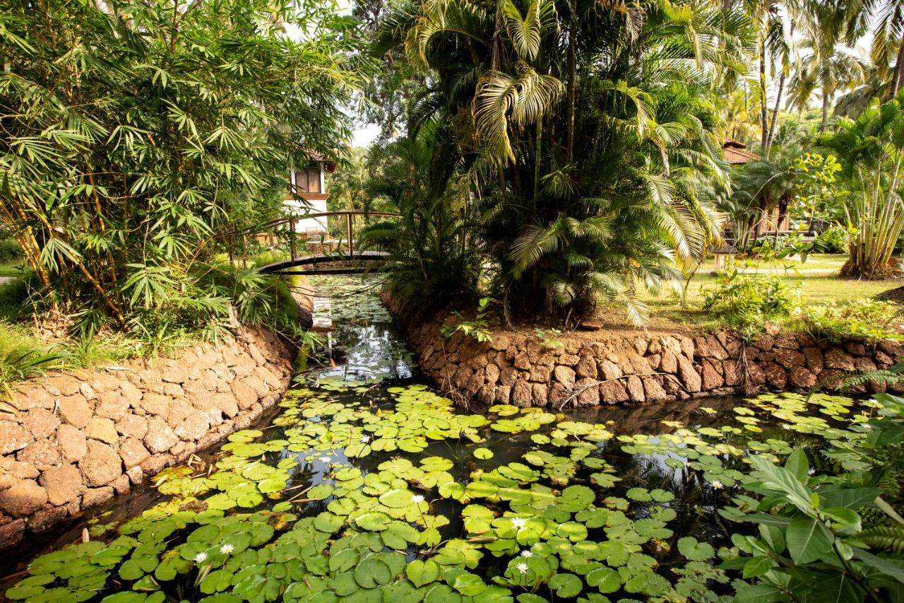 Coconut Creek Resort - Dabolim Airport Mormugao Zewnętrze zdjęcie